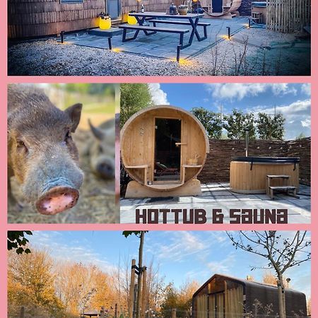 Bed & Wellness Klein Knorrestein With Private Hottub And Sauna And Tandembike Rental Included In Price Almere Exterior foto